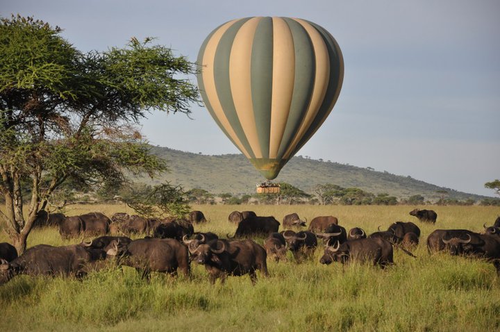 balloon-east-safari-camps